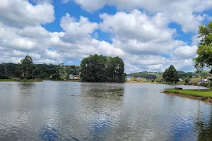 Lake Araucárias image