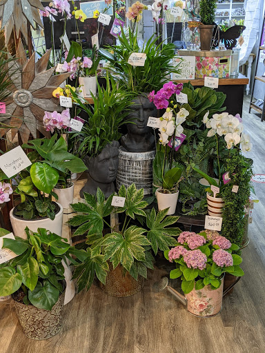 Florist «Garden Fantasy on Main», reviews and photos, 210 Main St, Belleville, MI 48111, USA