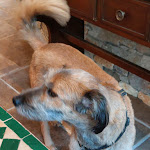 Photo n°8 de l'avis de Barefoot.e fait le 06/08/2021 à 18:40 sur le  Hotel Restaurant Die Grüne Bettlad à Bühl