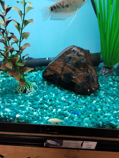 Garden Center «A W Brown Pet & Garden», reviews and photos, 144 Shaker Rd, East Longmeadow, MA 01028, USA