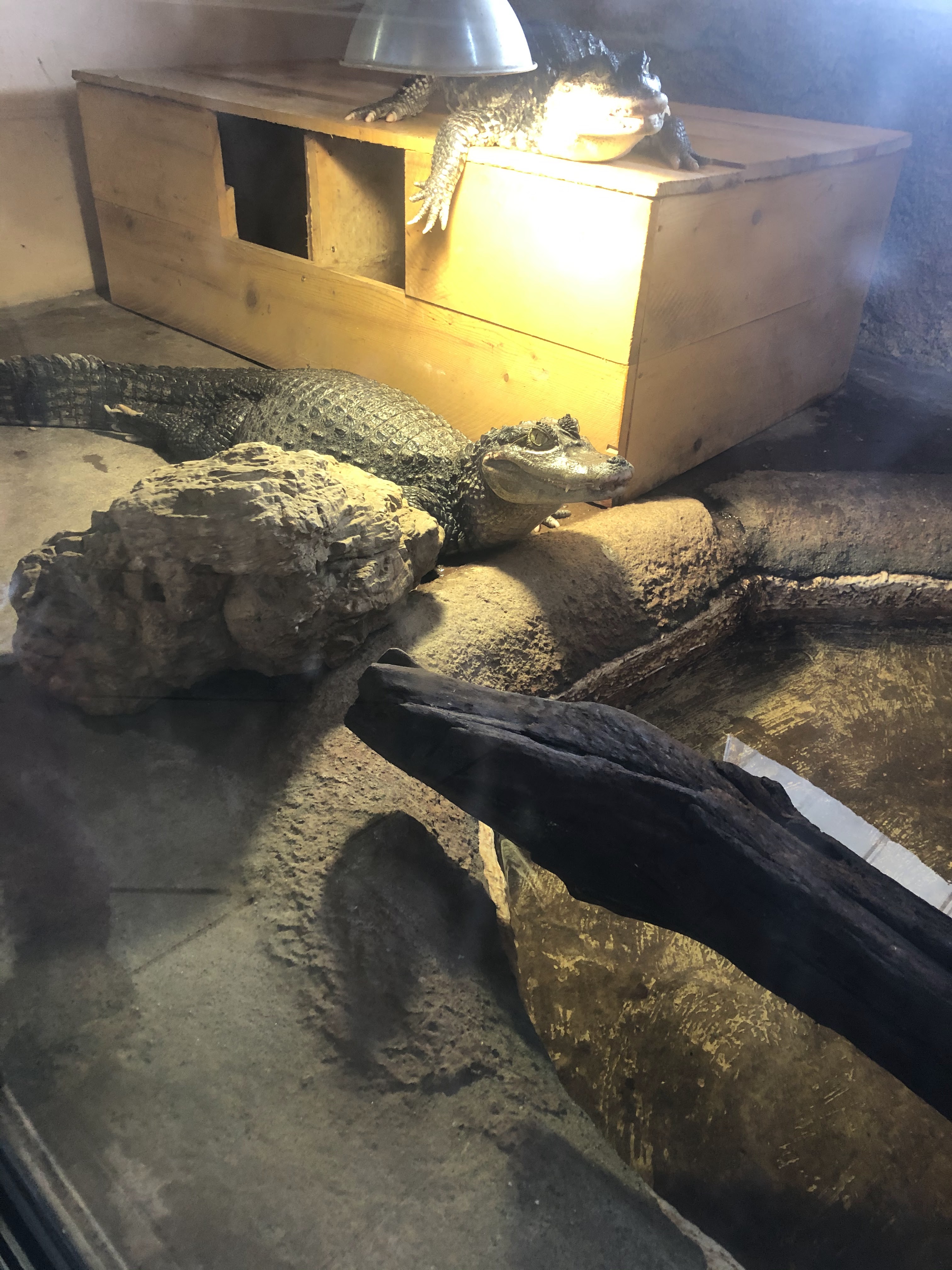 Photo n° 3 de l'avis de Magali.v fait le 05/08/2021 à 07:20