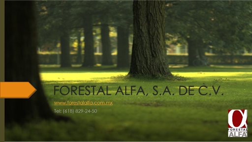 Forestal Alfa S.A. de C.V.