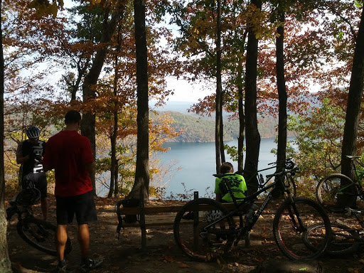 Bicycle Store «The Bicycle Escape», reviews and photos, 7820 Wormans Mill Rd, Frederick, MD 21701, USA