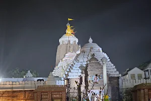 Best Choice Holiday Odisha tour packages image