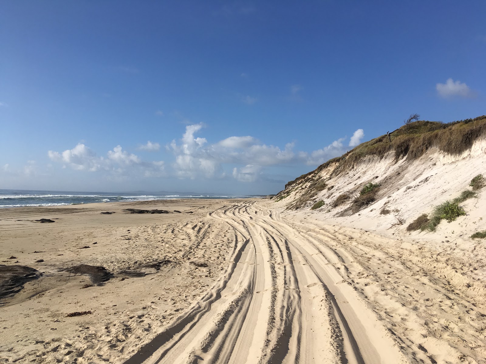 Foto van Broadwater Beach wilde omgeving