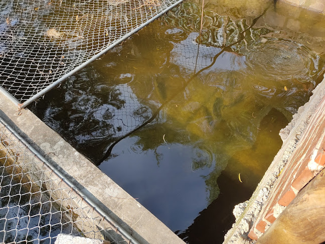 Comentarii opinii despre Centro recreacional La choza náutica