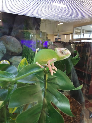 Pet Supply Store «Petco Animal Supplies», reviews and photos, 416 Eisenhower Dr, Hanover, PA 17331, USA