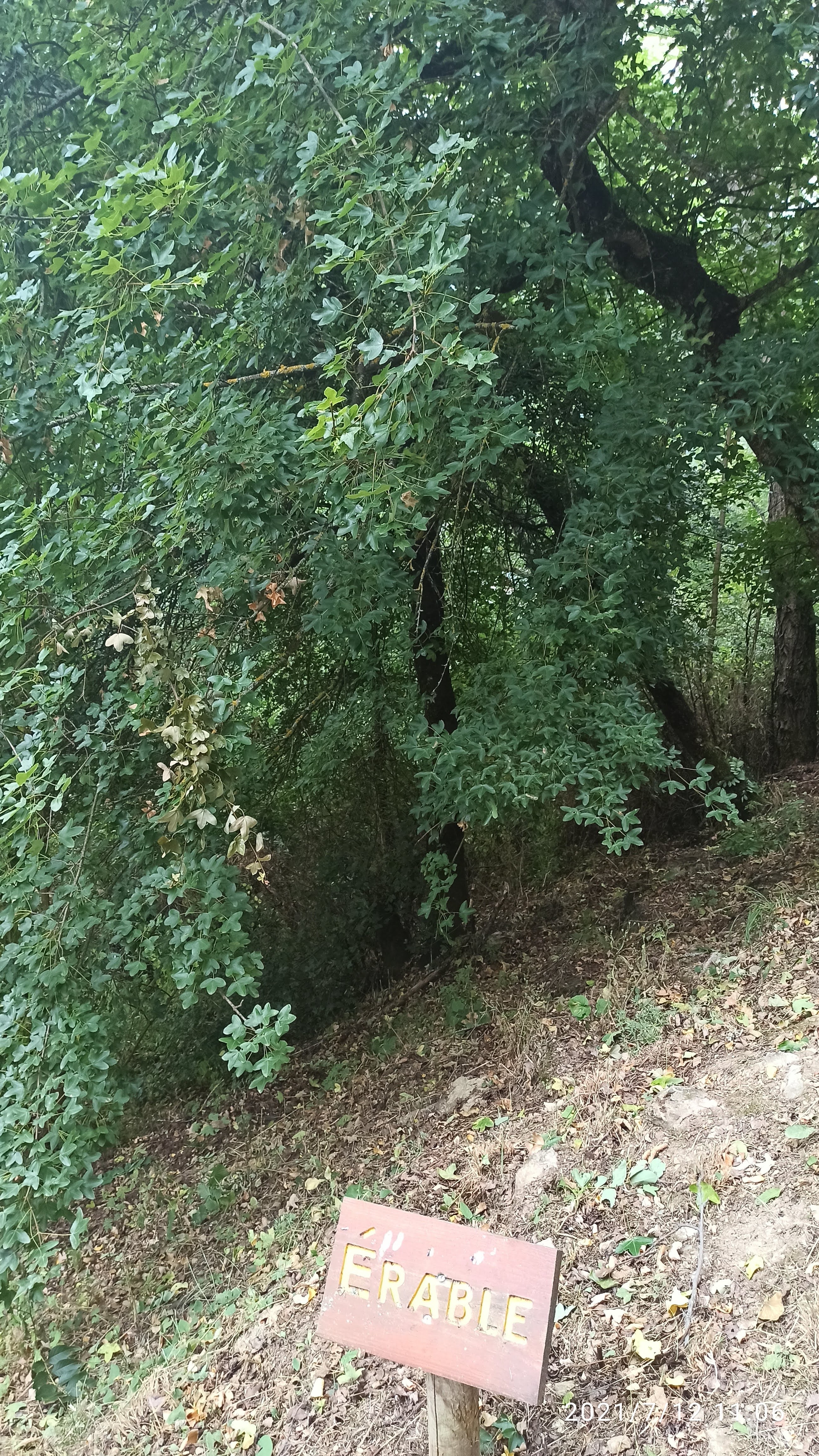 Photo n° 3 de l'avis de Anna.o fait le 14/07/2021 à 19:40