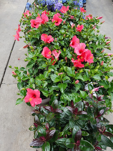 Home Improvement Store «The Home Depot», reviews and photos, 6001 Madison Ave, Carmichael, CA 95608, USA