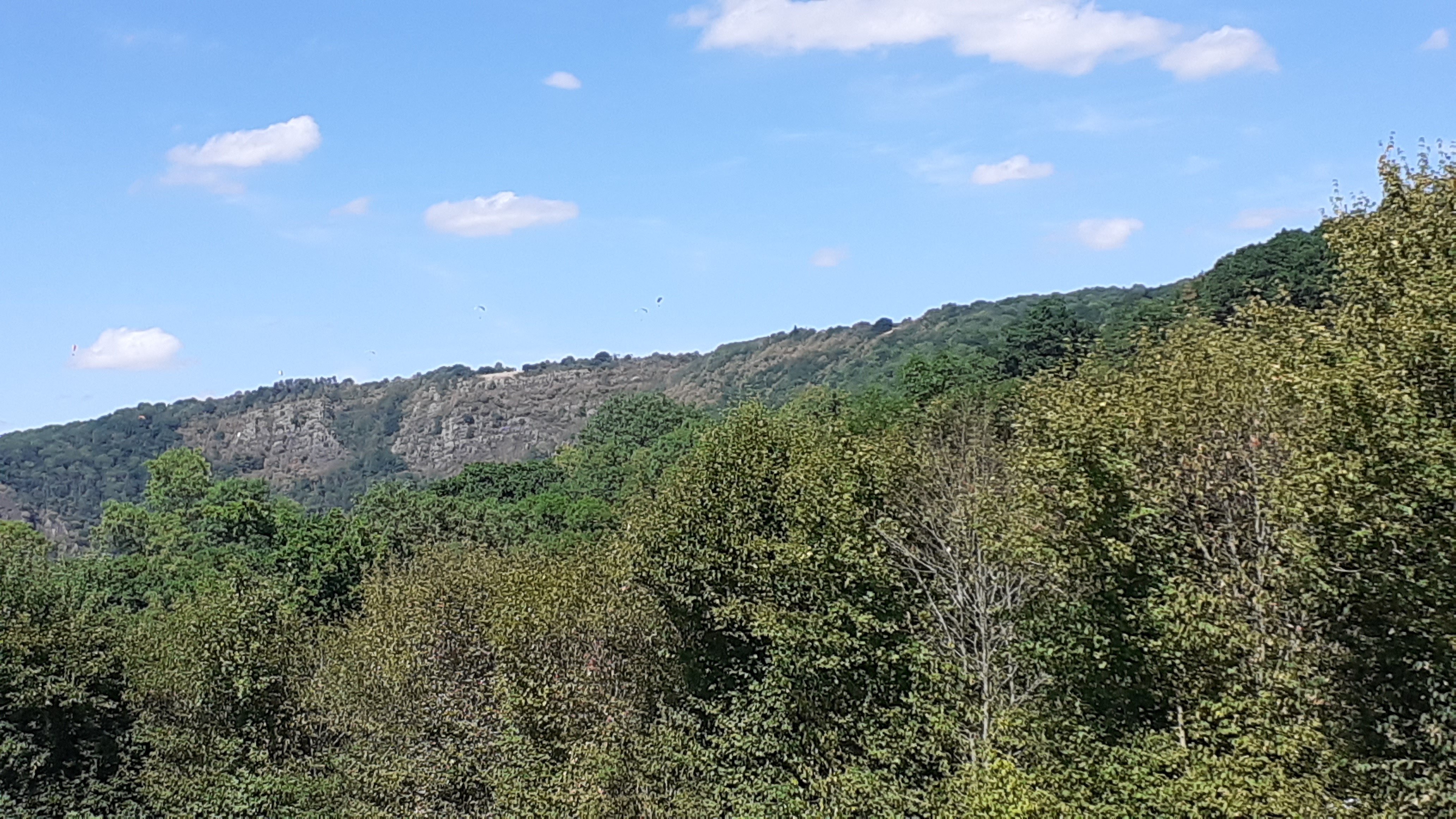 Photo n° 5 de l'avis de Sandra.a fait le 02/08/2022 à 20:10