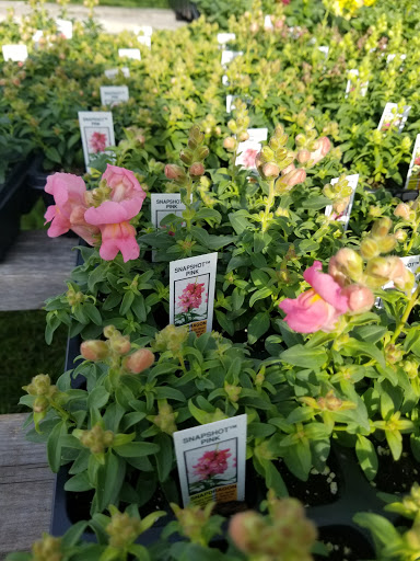 Florist «Lyndhurst Florist», reviews and photos, 5268 Mayfield Rd, Lyndhurst, OH 44124, USA