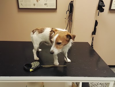 veterinary-care