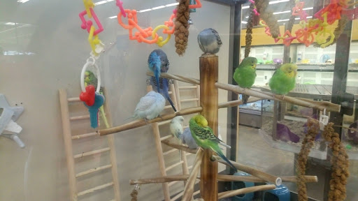 Pet Supply Store «Petco Animal Supplies», reviews and photos, 3870 N 124th St, Wauwatosa, WI 53222, USA