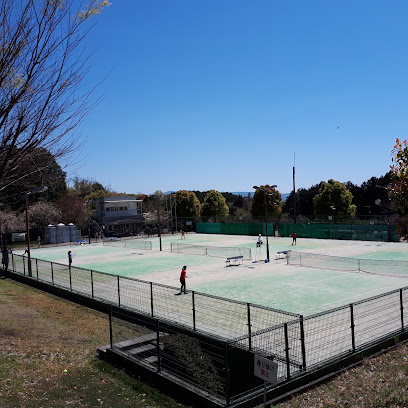 愛鷹運動公園 テニスコート