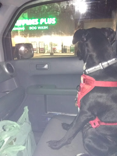 Pet Supply Store «Pet Supplies Plus», reviews and photos, 2471 E State St, Hermitage, PA 16148, USA