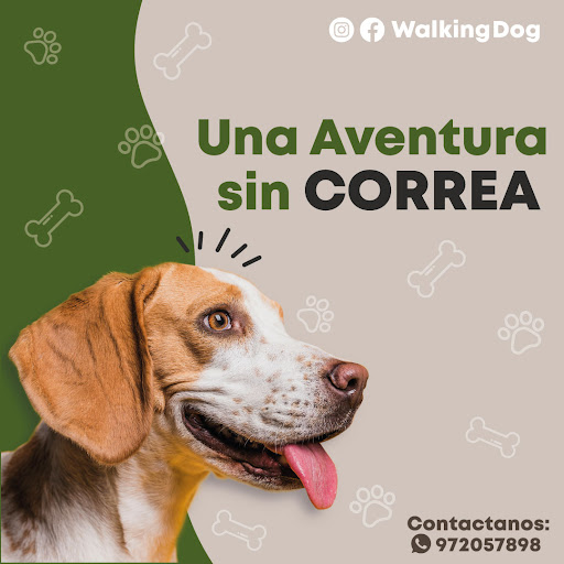 Walking Dog perú