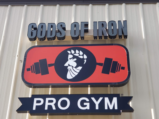 Gods of Iron Pro Gym image 7
