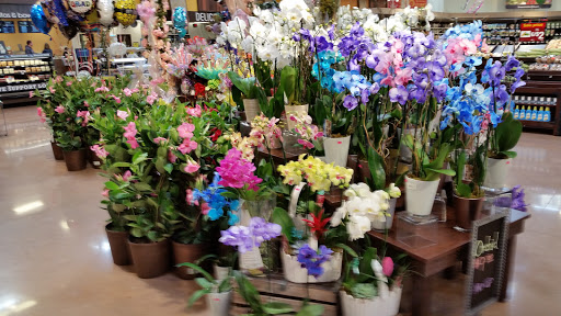 Department Store «T.J. Maxx», reviews and photos, 7764 26 Mile Rd, Shelby Charter Township, MI 48316, USA