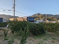 (株)伊藤農園