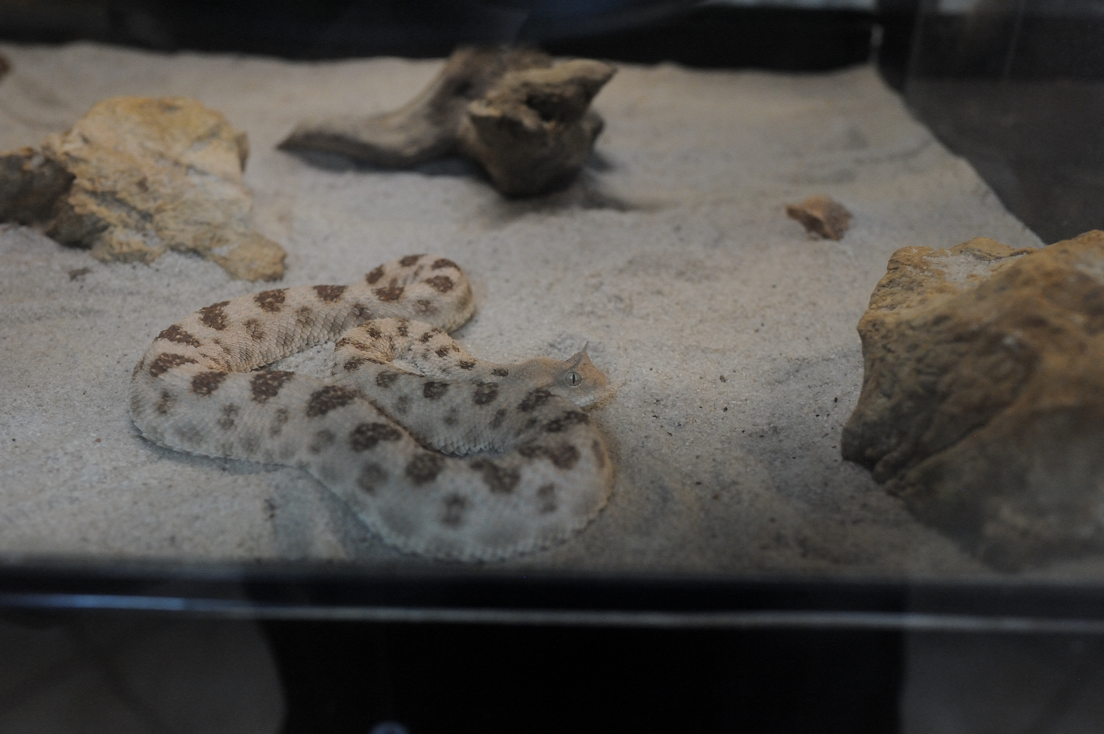 Photo n° 3 de l'avis de Lino. fait le 21/10/2023 à 19:11