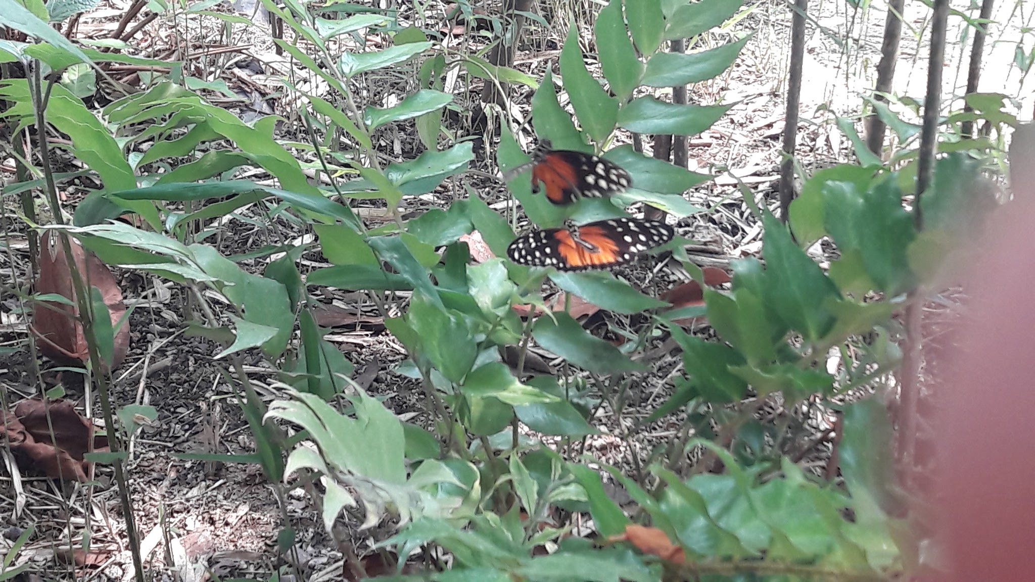 Photo n° 14 de l'avis de jessyca.a fait le 27/04/2018 à 12:12