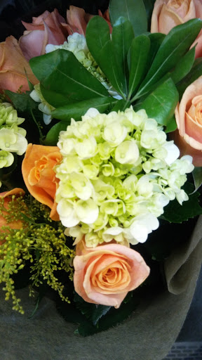 Grocery Store «Fred Meyer», reviews and photos, 2500 Santiam Hwy SE, Albany, OR 97322, USA