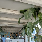 Photo n°4 de l'avis de Valentina.r fait le 30/04/2024 à 08:30 sur le  Maré | Cucina Caffè Spiaggia Bottega à Cesenatico