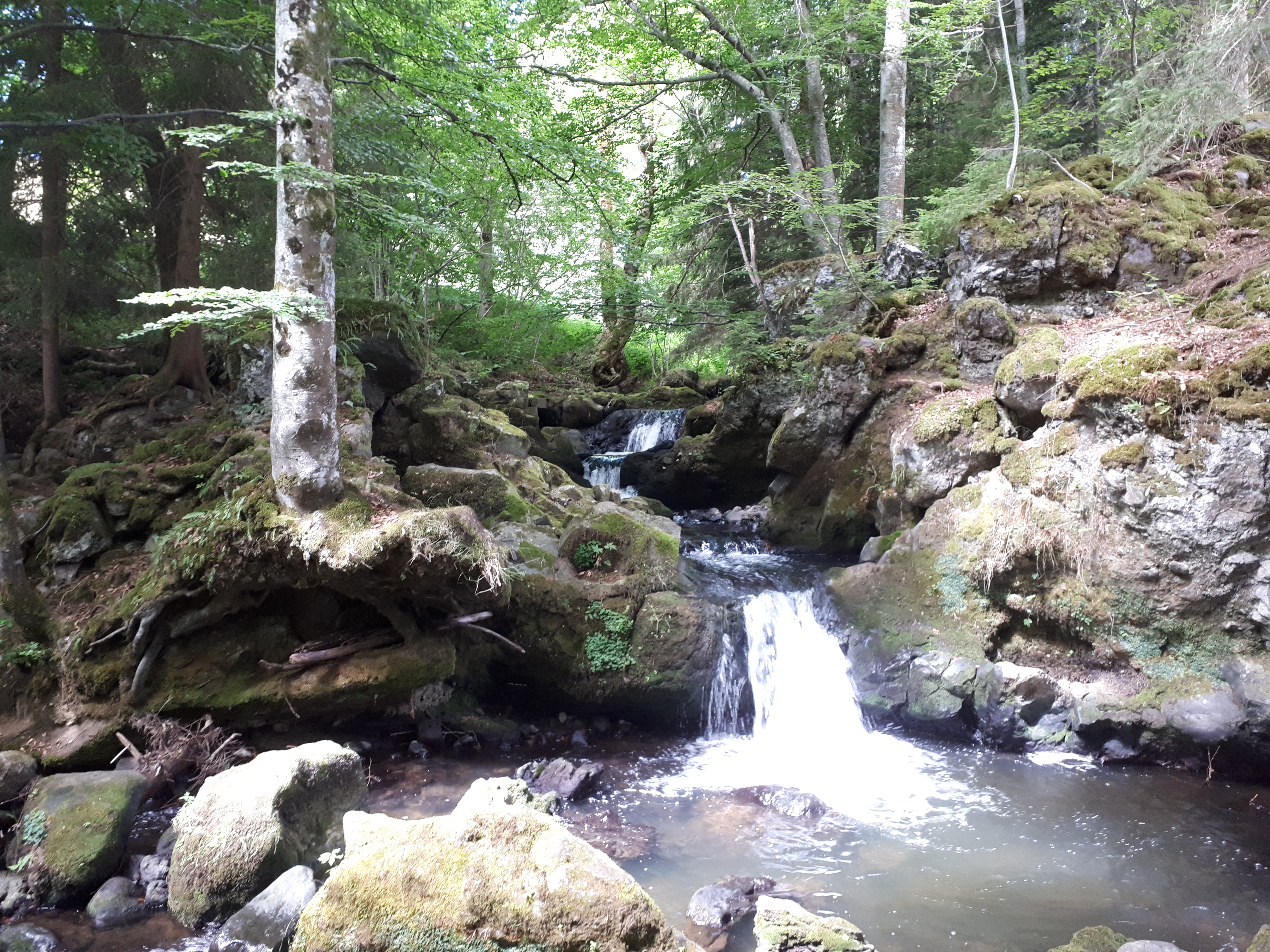 Photo n° 1 de l'avis de Didier.o fait le 25/08/2019 à 18:30