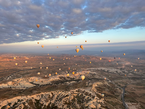Wilderness Travel image