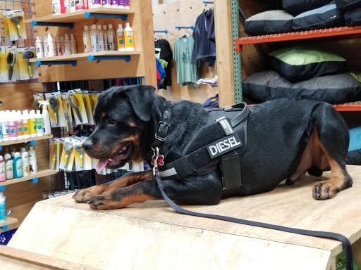 Pet Supply Store «BlueCollar Working Dog», reviews and photos, 1320 Glendale Blvd, Los Angeles, CA 90026, USA
