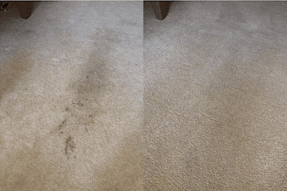 Spruceland Carpet Cleaning