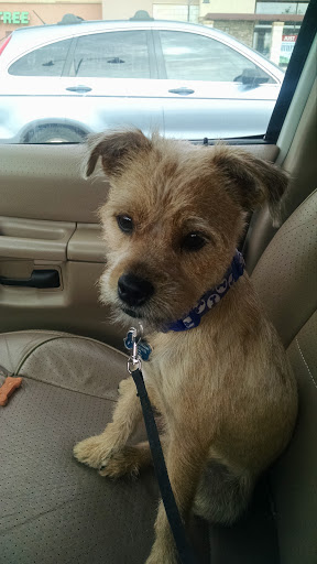 Pet Supply Store «PetSmart», reviews and photos, 2435 Prairie Center Pkwy, Brighton, CO 80601, USA