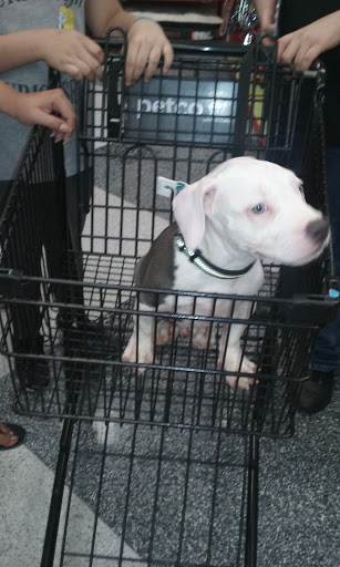 Pet Supply Store «Petco Animal Supplies», reviews and photos, 1060 U.S. 9, Parlin, NJ 08859, USA