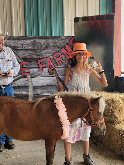 Bosque Farms Rodeo Association