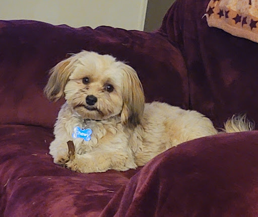 Pet Supply Store «Nature Boys Farm & Pet Supply», reviews and photos, 17022 Pacific Ave S, Spanaway, WA 98387, USA