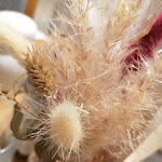 Photo n°4 de l'avis de Claudia.e fait le 16/10/2023 à 05:03 sur le  Café Heinrichs à Oelde