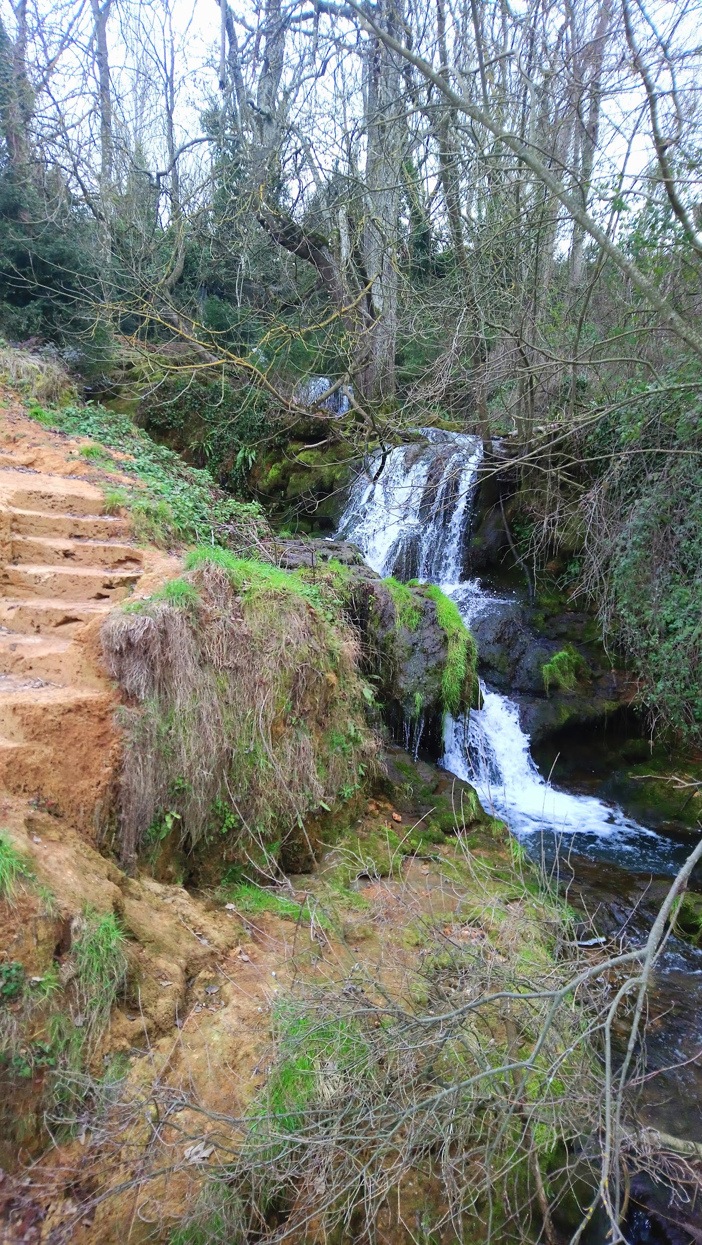 Photo n° 16 de l'avis de Philippe.E fait le 25/02/2018 à 16:42