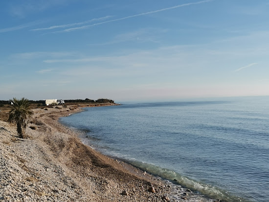 Platja Nord de Torreblanca