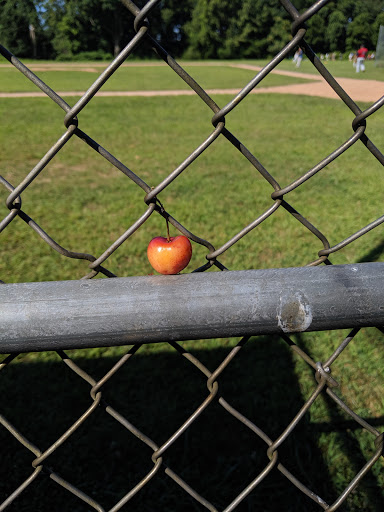 Park «East Rock Park», reviews and photos, 41 Cold Spring St, New Haven, CT 06511, USA