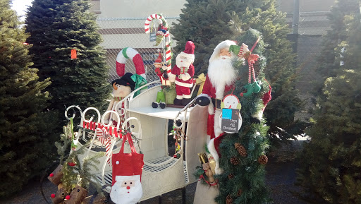 Shawn's Christmas Trees - Closed until Nov 2021