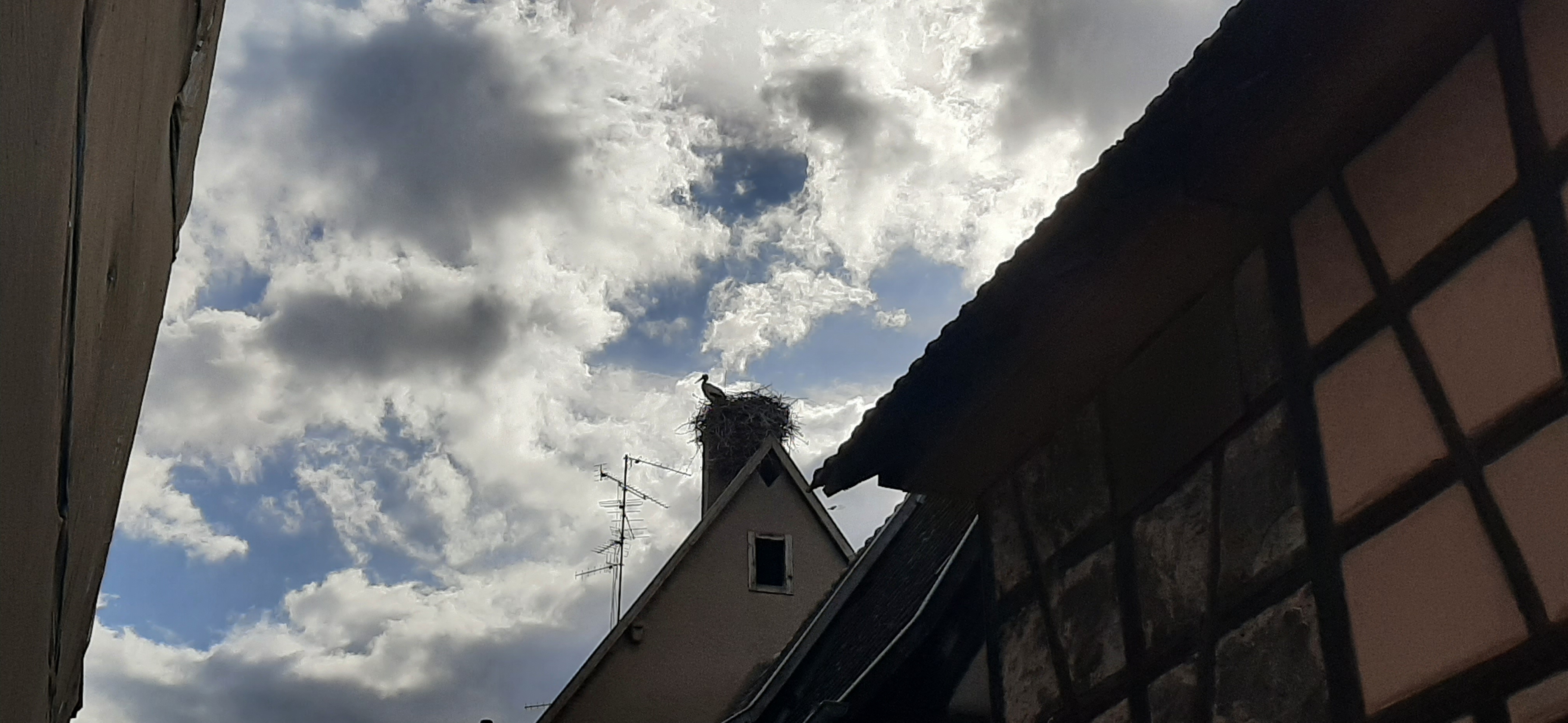 Photo n° 18 de l'avis de Benjamin.O fait le 15/04/2023 à 16:05