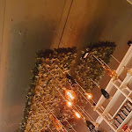 Photo n°2 de l'avis de Stefania. fait le 19/09/2020 à 11:20 sur le  Brendola à Brendola