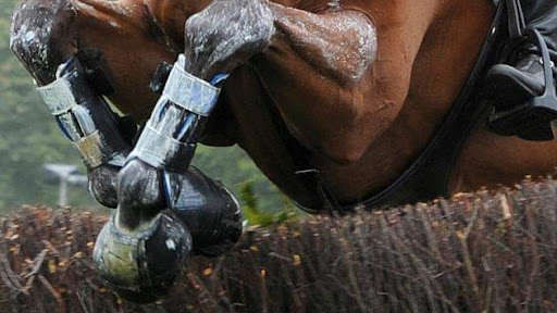 Tack Shop «Equine Exchange Tack Shop», reviews and photos, 1251 Ridge Rd, Pottstown, PA 19465, USA