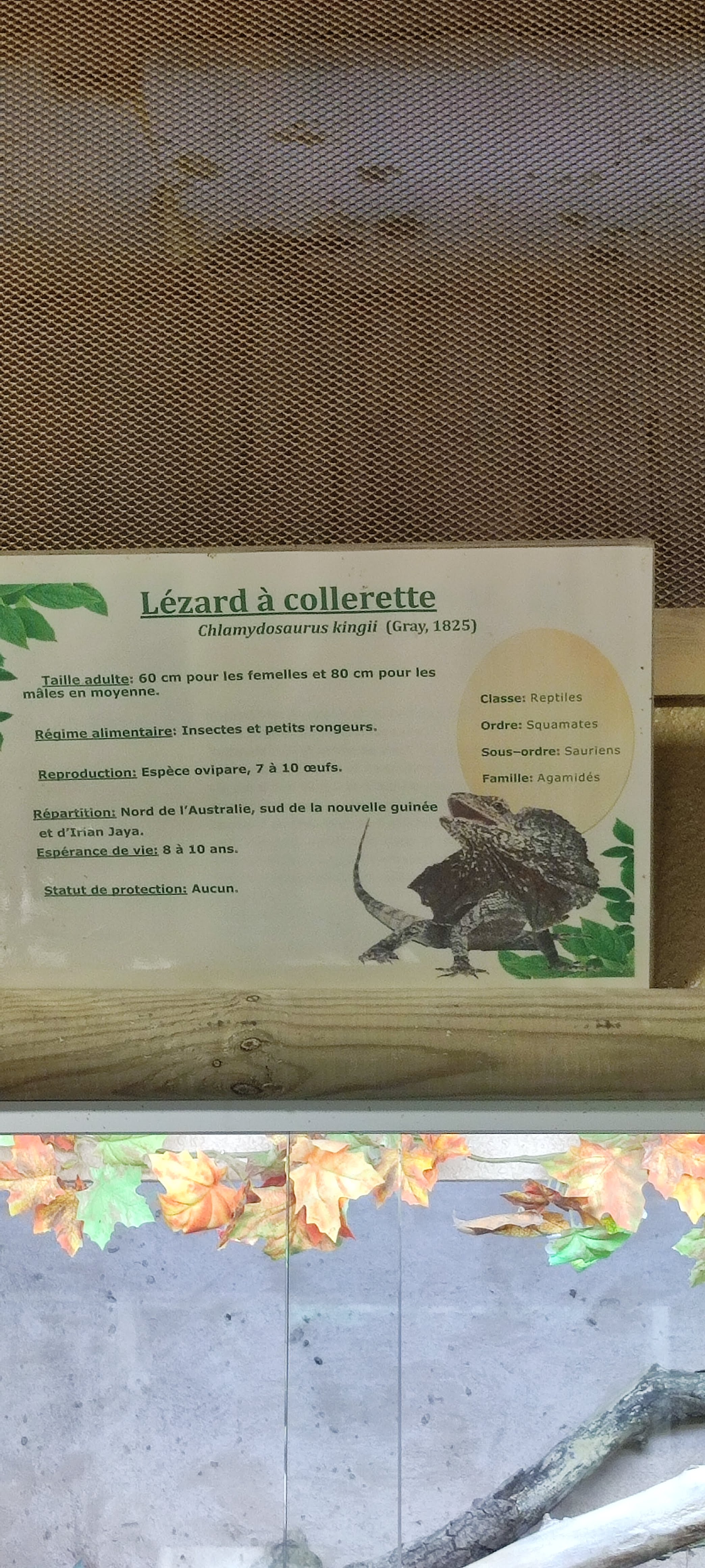 Photo n° 21 de l'avis de Yannick.o fait le 11/02/2023 à 16:29