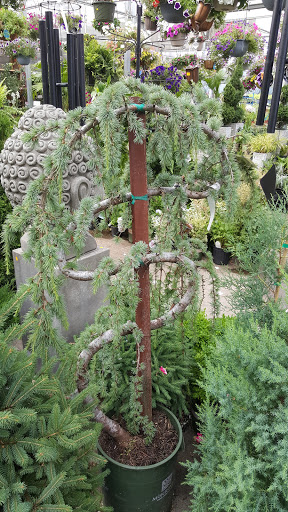 Shopping Mall «Linwood Plaza Shopping Center», reviews and photos, 158 Linwood Dr, Fort Lee, NJ 07024, USA