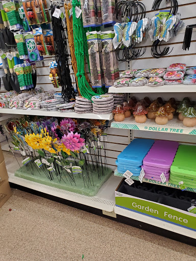 Dollar Store «Dollar Tree», reviews and photos, 1280 Lititz Pike, Lancaster, PA 17601, USA