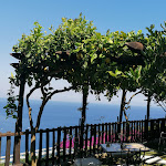 Photo n°1 de l'avis de Roberta.i fait le 27/06/2020 à 07:40 sur le  Villa Alba d'Oro à Amalfi