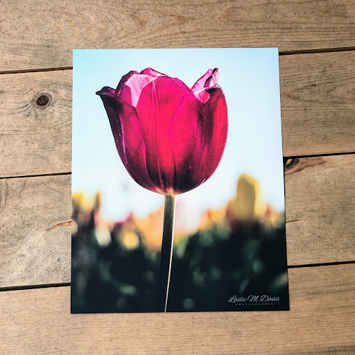 Print Shop «Printkeg», reviews and photos, 122 State Rd S-7-390 C, Beaufort, SC 29906, USA