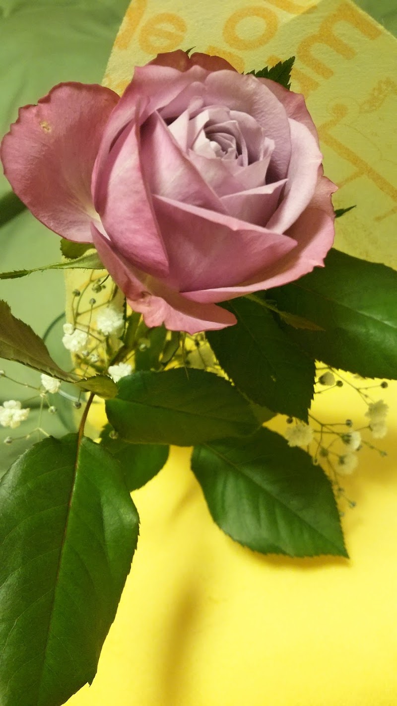 フラワーショップ ファンタジー 埼玉県川口市戸塚 花屋 グルコミ