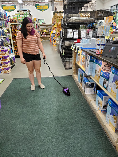 Pet Supply Store «State Line Pet Supply», reviews and photos, 137 Plaistow Rd, Plaistow, NH 03865, USA